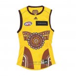 Shirt Hawthorn Hawks AFL 2022 Indigenous