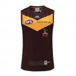 Shirt Hawthorn Hawks AFL 2023