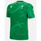 Shirt Wales Rugby 2022-2023 Away