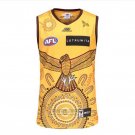 Shirt Hawthorn Hawks AFL 2023 Indigenous