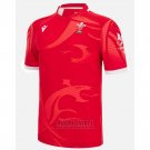 Shirt Wales Rugby 2022-2023 Home